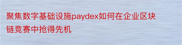 聚焦数字基础设施paydex如何在企业区块链竞赛中抢得先机